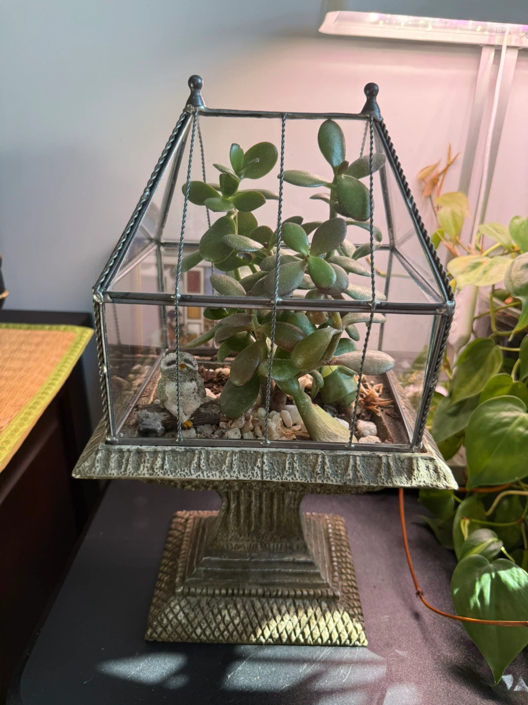Glass Terrarium with Jade Plant and Owl Figurine