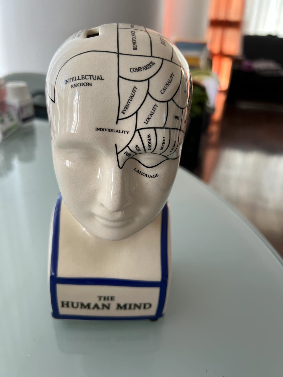Phrenology Head Ceramic Money Bank