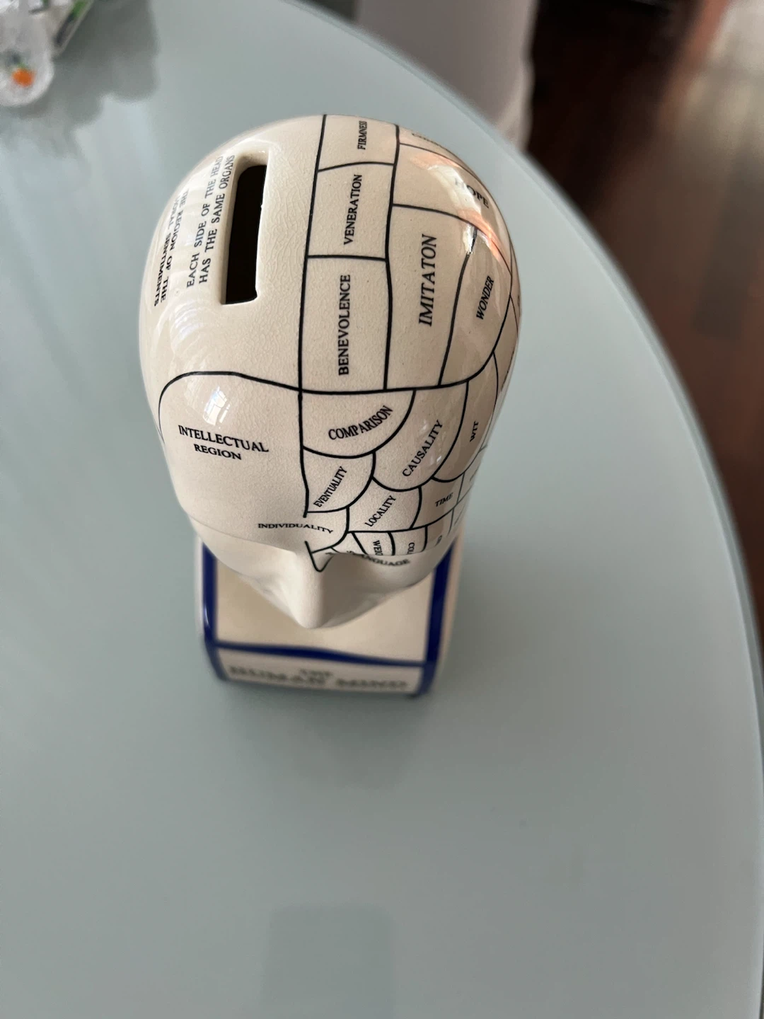 Phrenology Head Ceramic Money Bank - photo 2