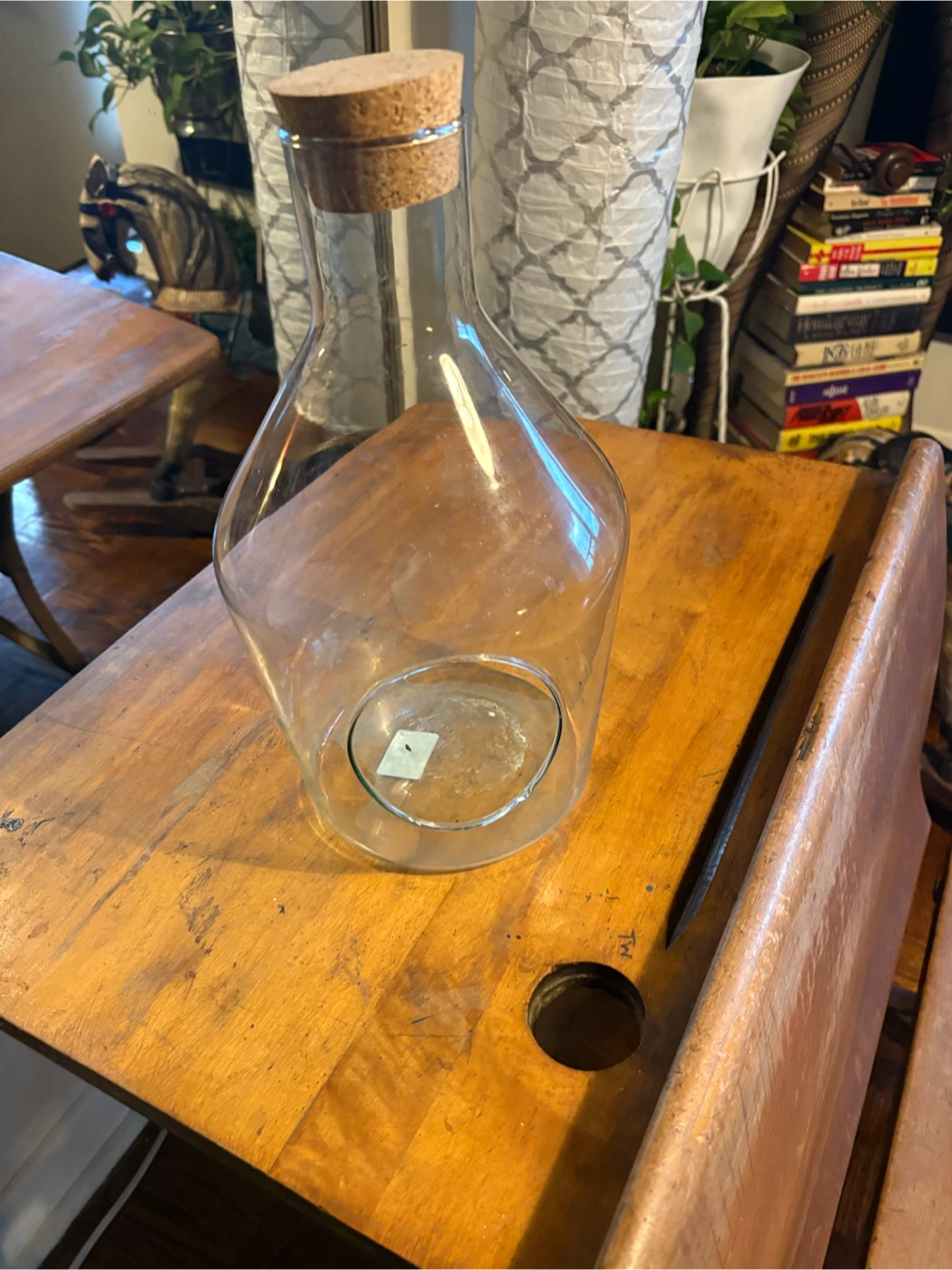 Clear glass terrarium vessel with cork lid - photo 2