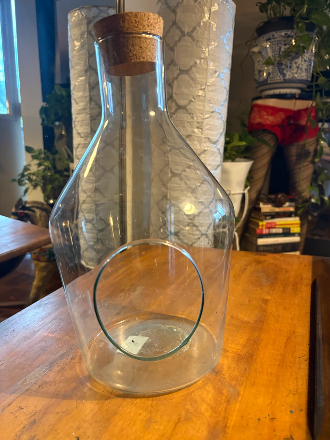 Clear glass terrarium vessel with cork lid - photo 3
