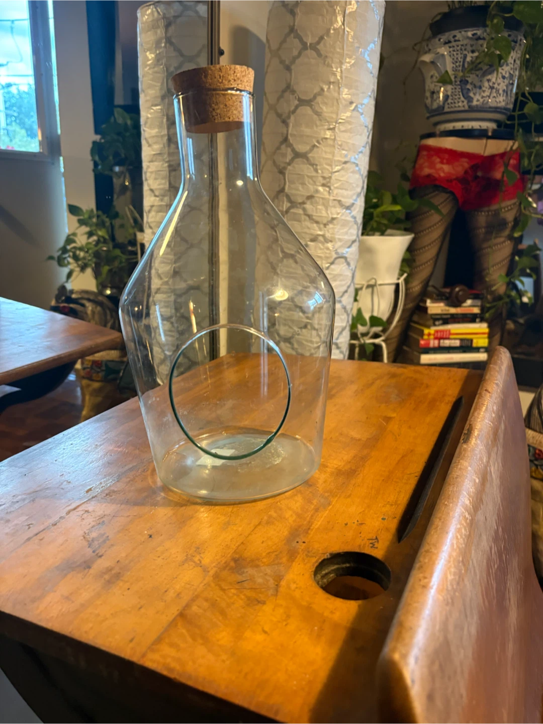 Clear glass terrarium vessel with cork lid - photo 4