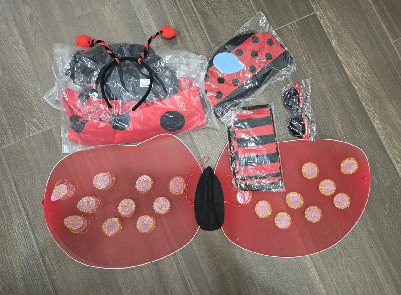 Ladybug Costume Set - photo 2