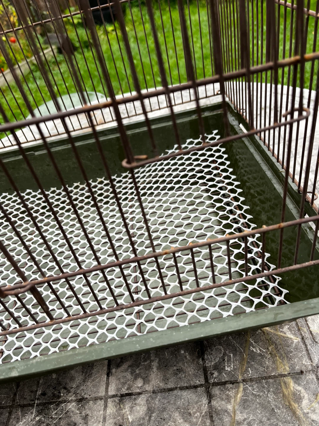 Large  Bird Cage with accessories, and food - photo 3