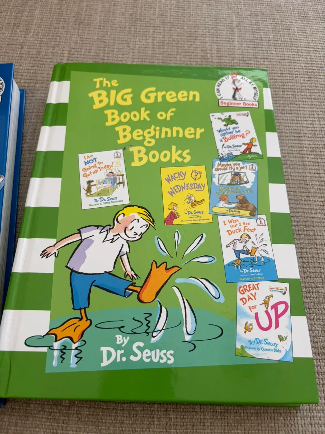 The BIG Blue & Green Book of Beginner Books - photo 3