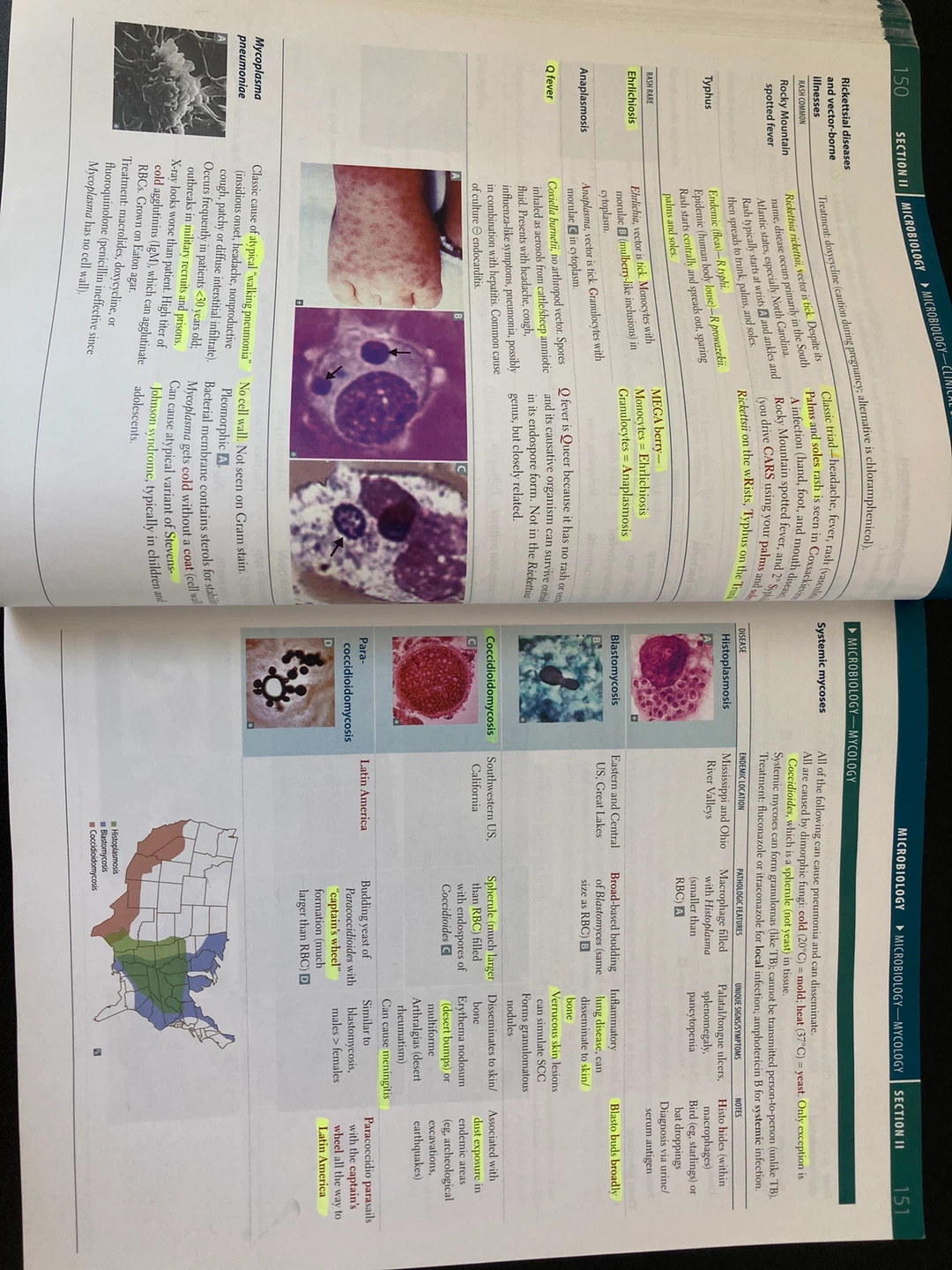 First Aid for the USMLE Step 1 2019 Study Guide - photo 4