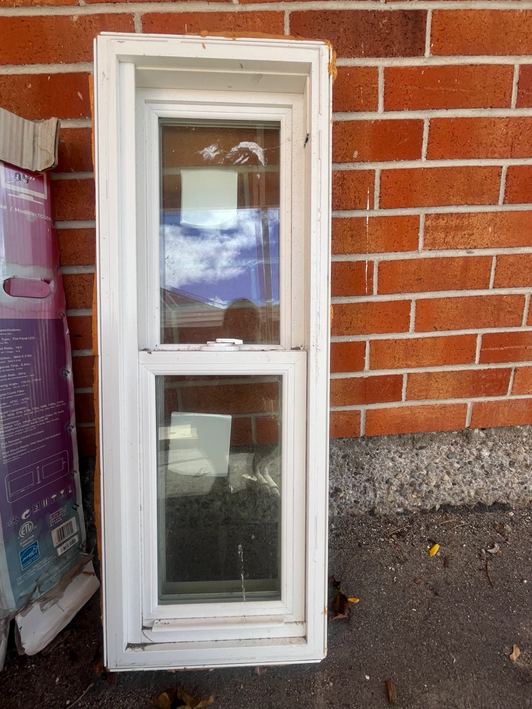 Bavarian Windows White Single Hung Window
