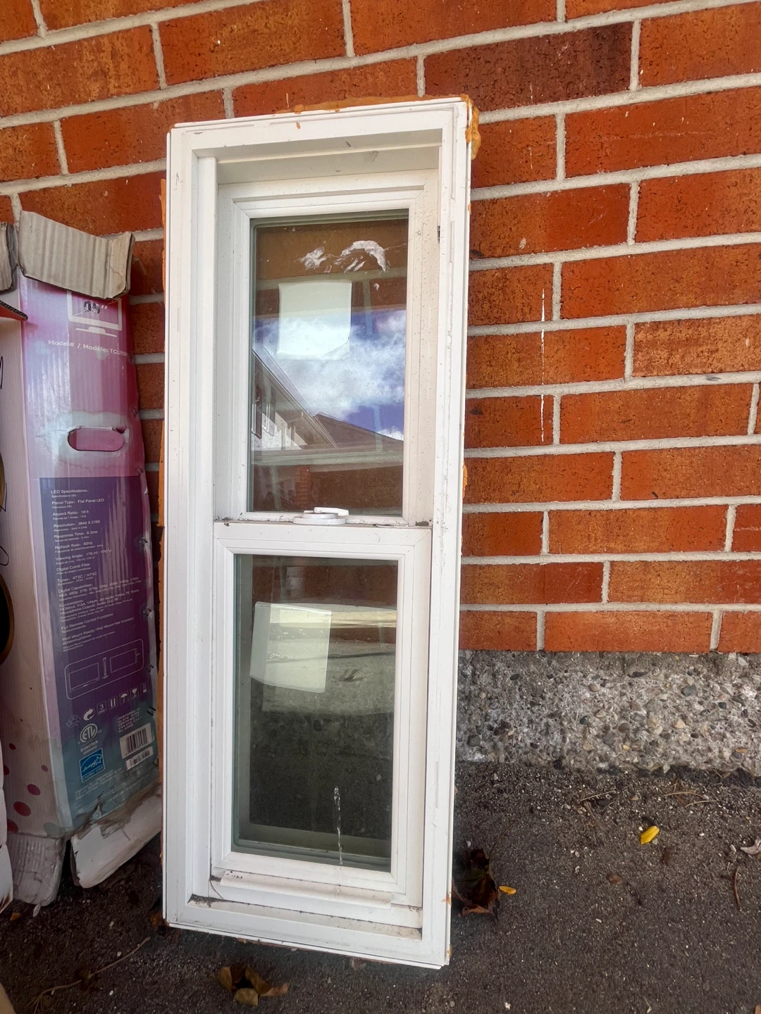 Bavarian Windows White Single Hung Window - photo 2