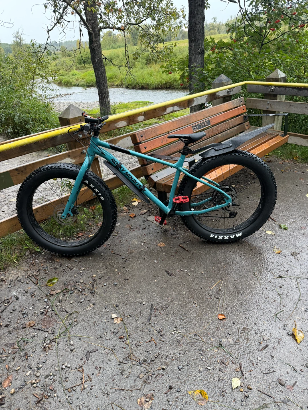 Rocky Mountain blizzard A20 - two sets of tires