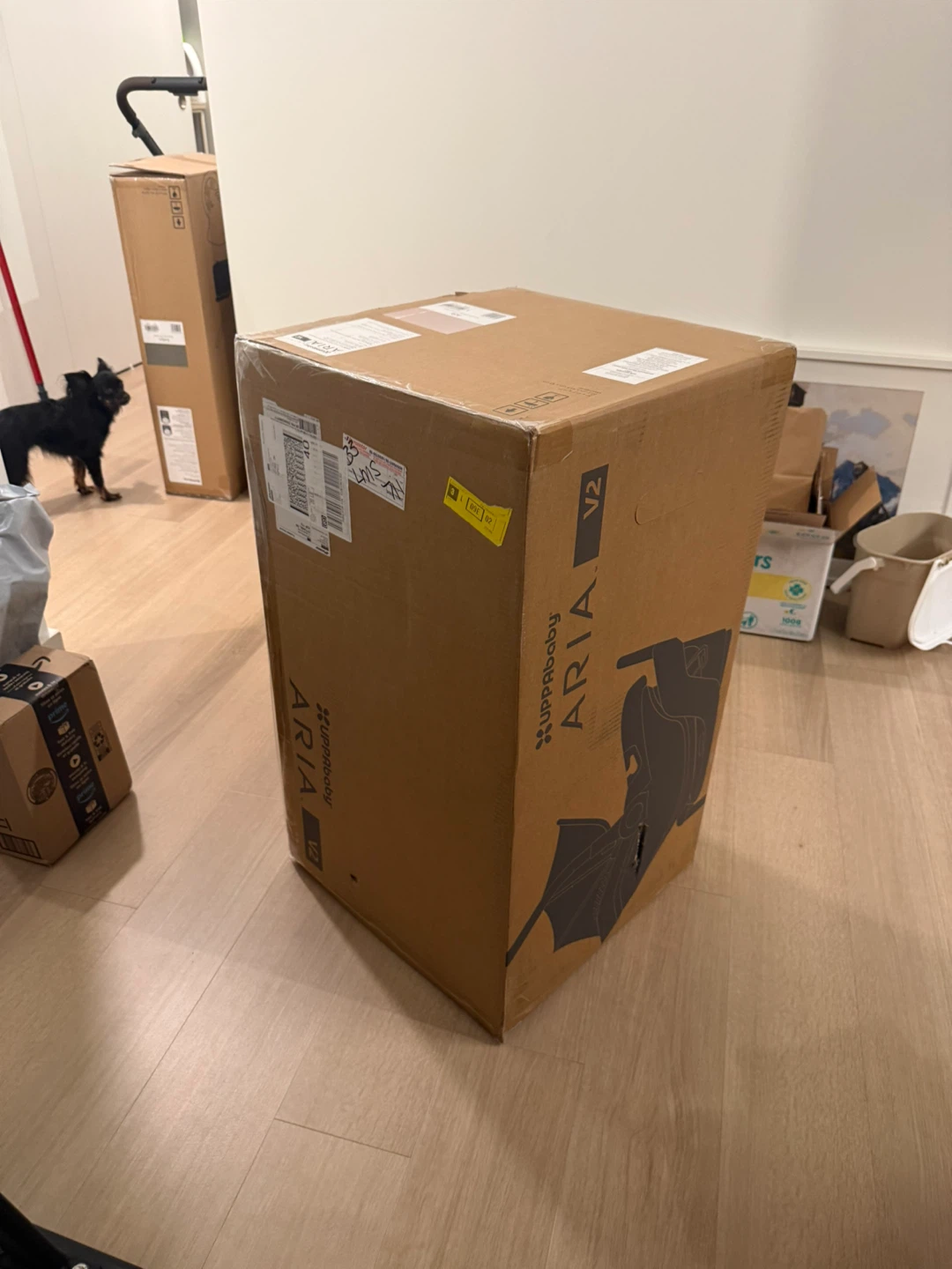 NEW UPPAbaby Aria V2 Infant Car Seat - Ada - photo 3