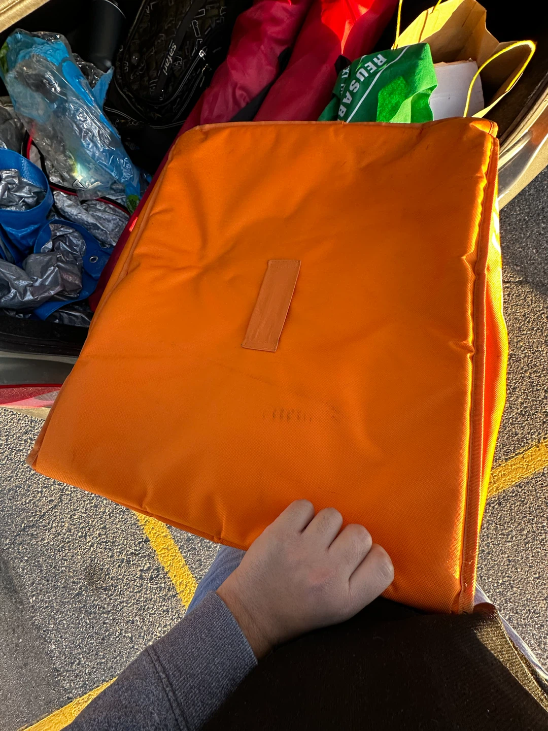 Skip The Dishes insulated food delivery bag