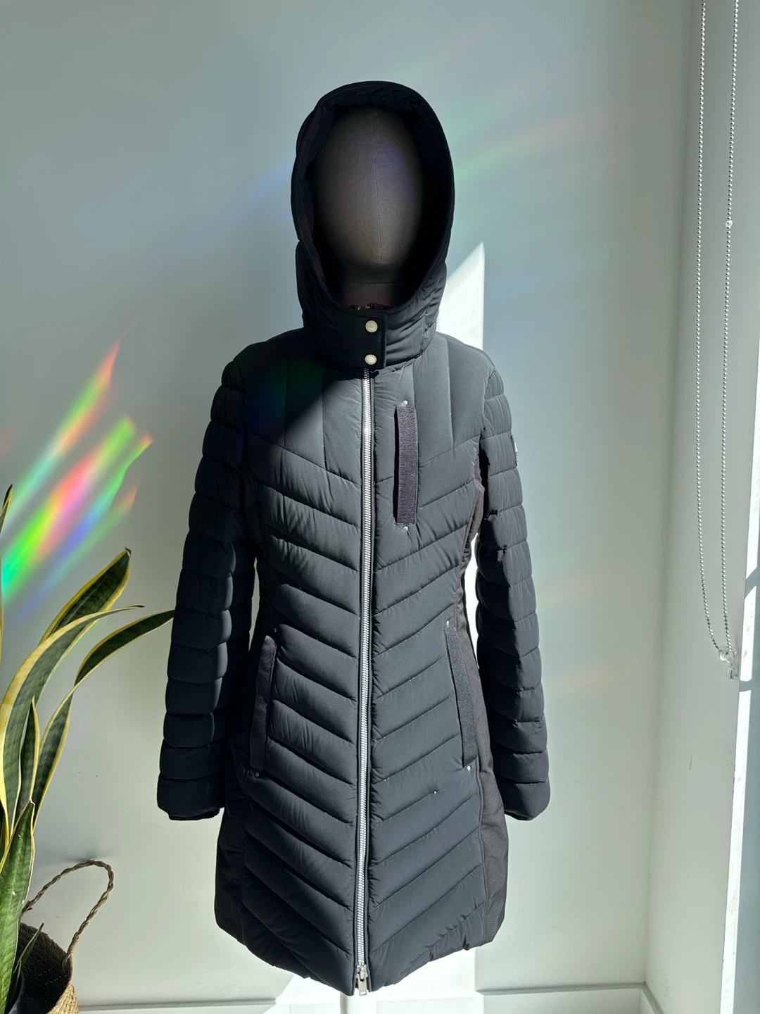 Moose Knuckles Coat (M)