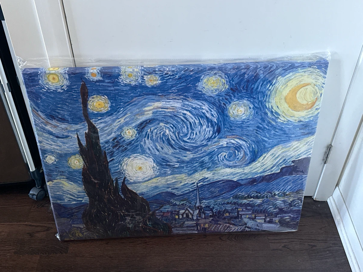 Vincent van Gogh The Starry Night Canvas Print
