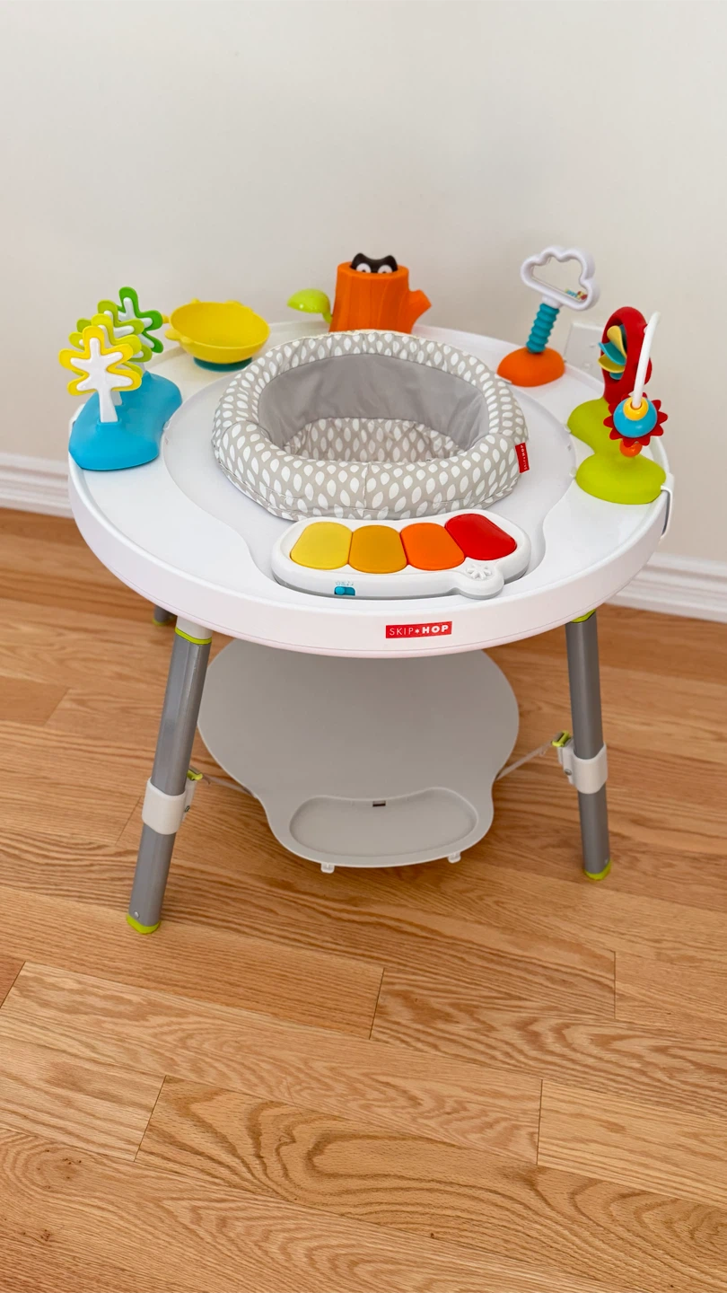 Skip Hop Explore and More Baby Activity Center