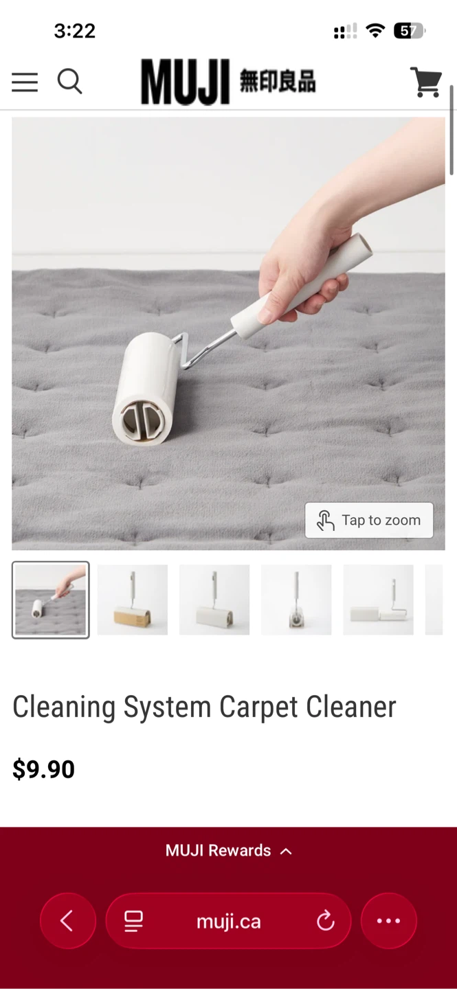 Muji carpet cleaner - photo 3