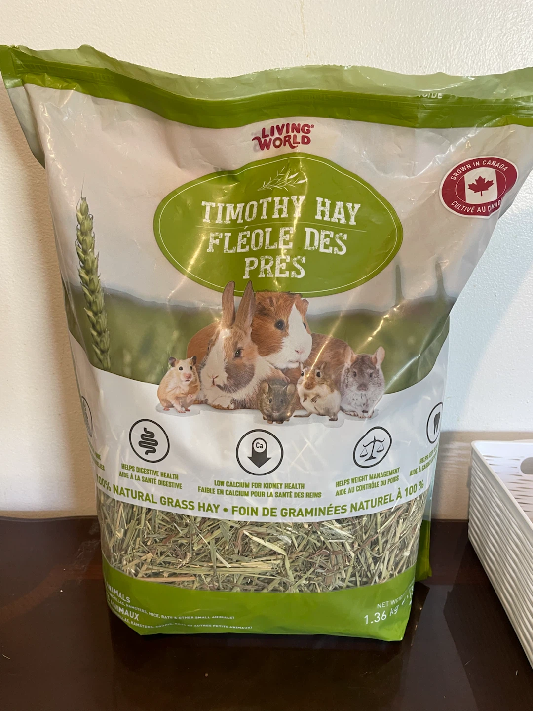 Timothy Hay