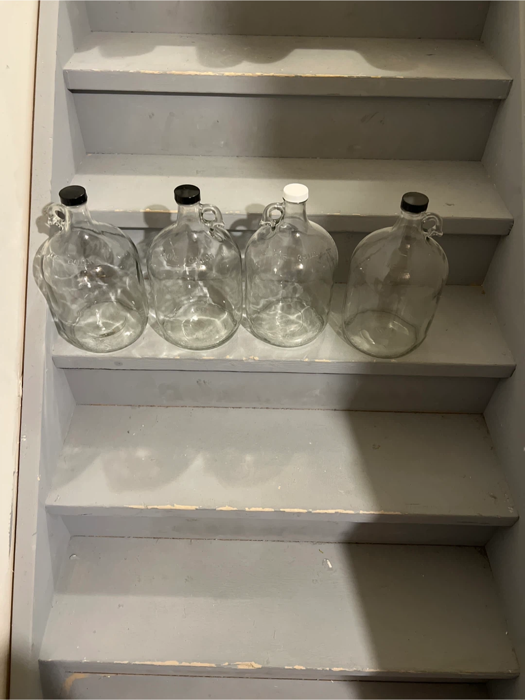 Four 1 Gallon Glass Jugs