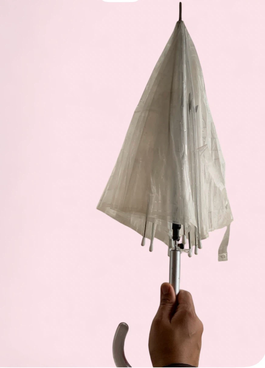 Clear Transparent Dome Umbrella
