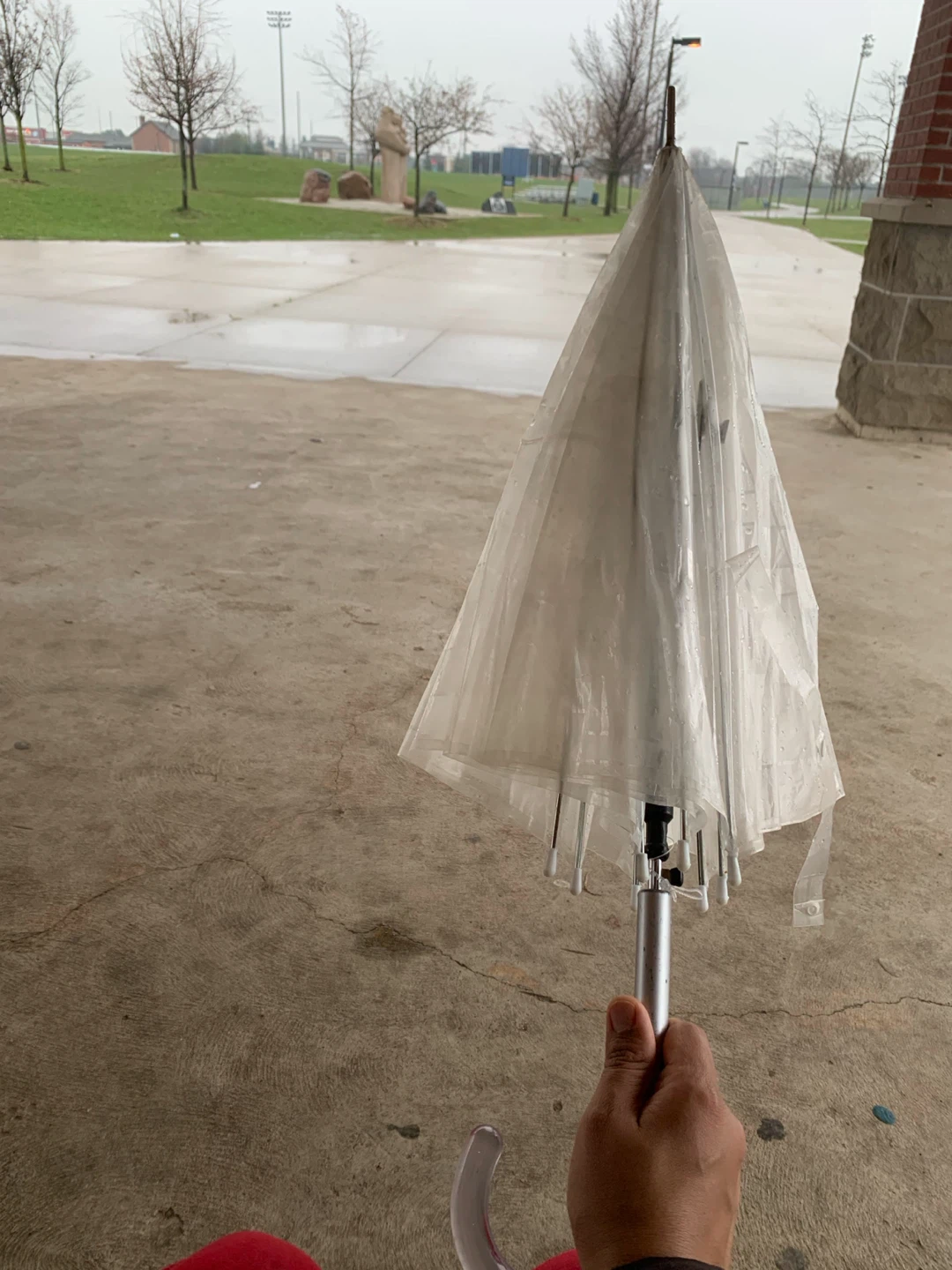 Clear Transparent Dome Umbrella - photo 2