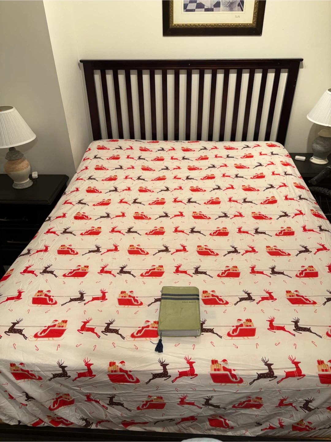 Brand New King Size GoGreen Christmas Bed Sheet Set - photo 4
