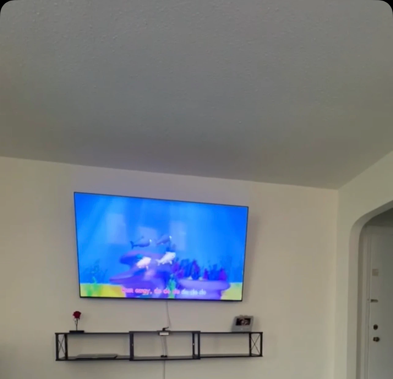 Amazon Floating Shelf