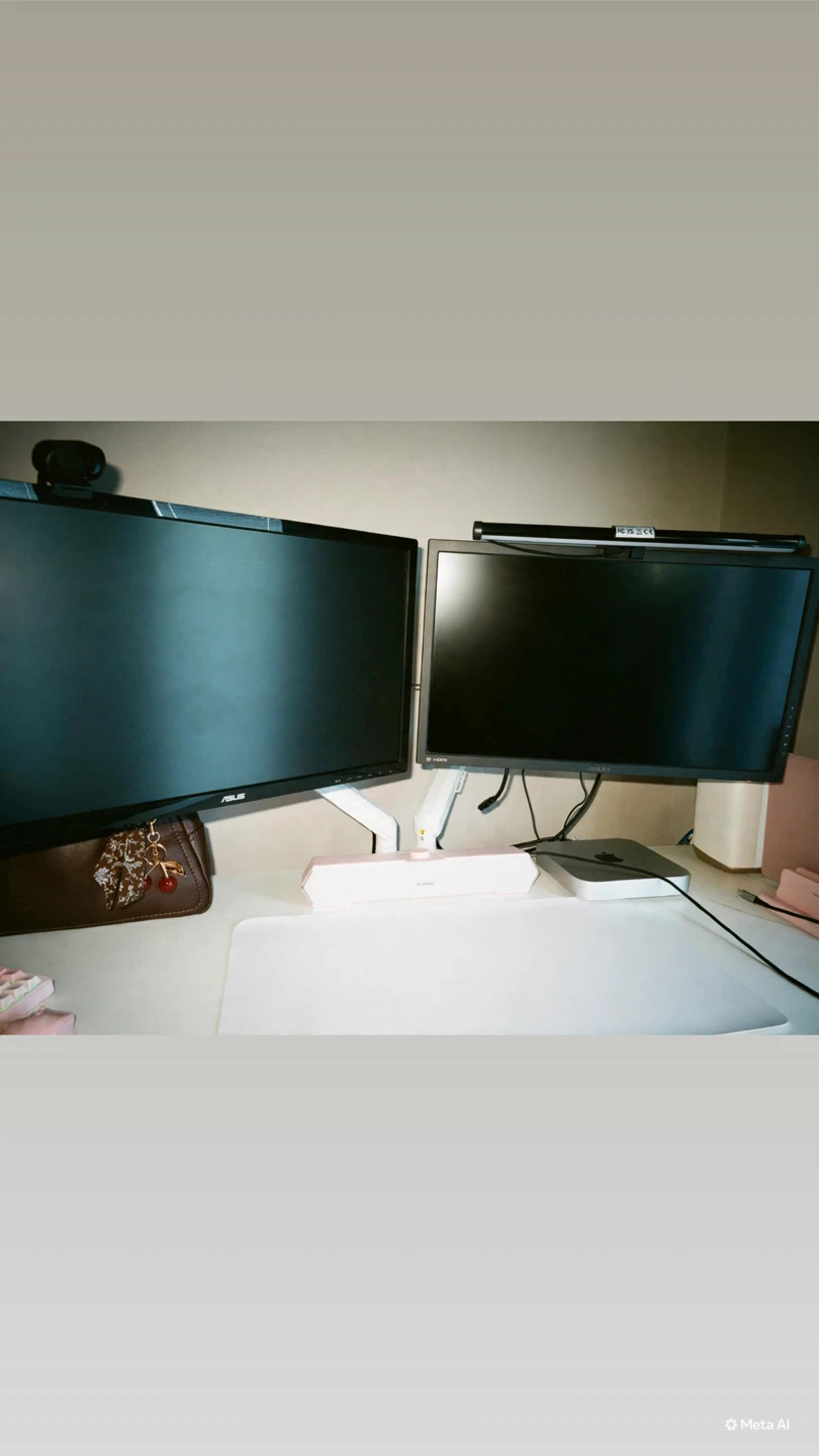 Dual Asus Monitor 24" with Mount