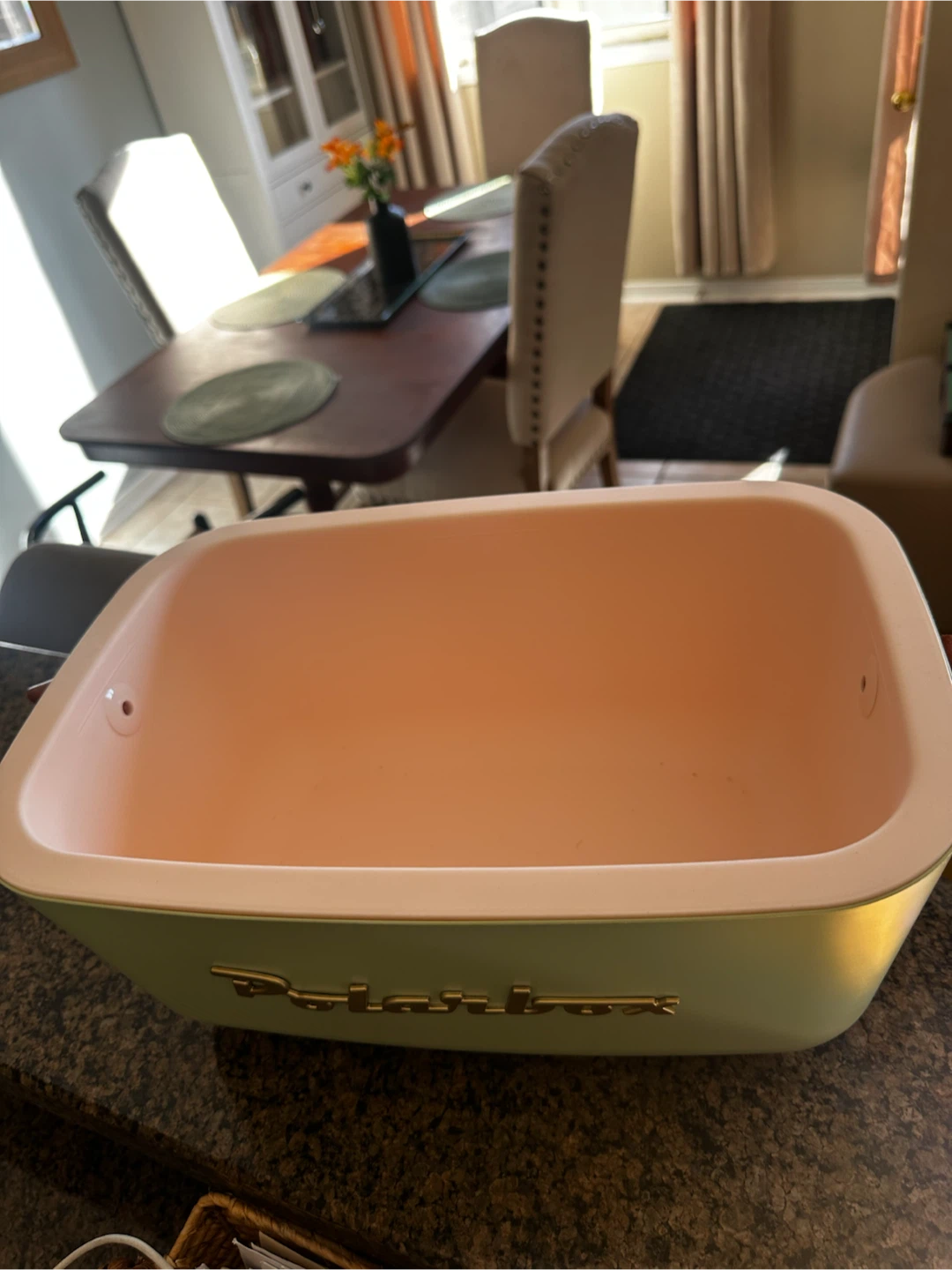 Polarbox Retro Cooler Bag - Mint Green - photo 2