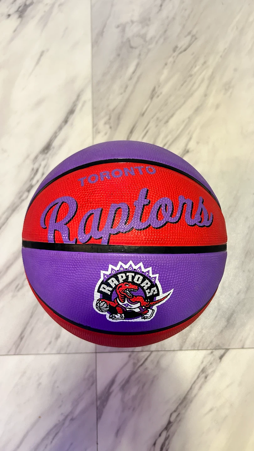 Wilson Toronto Raptors Hardwood Classics Basketball