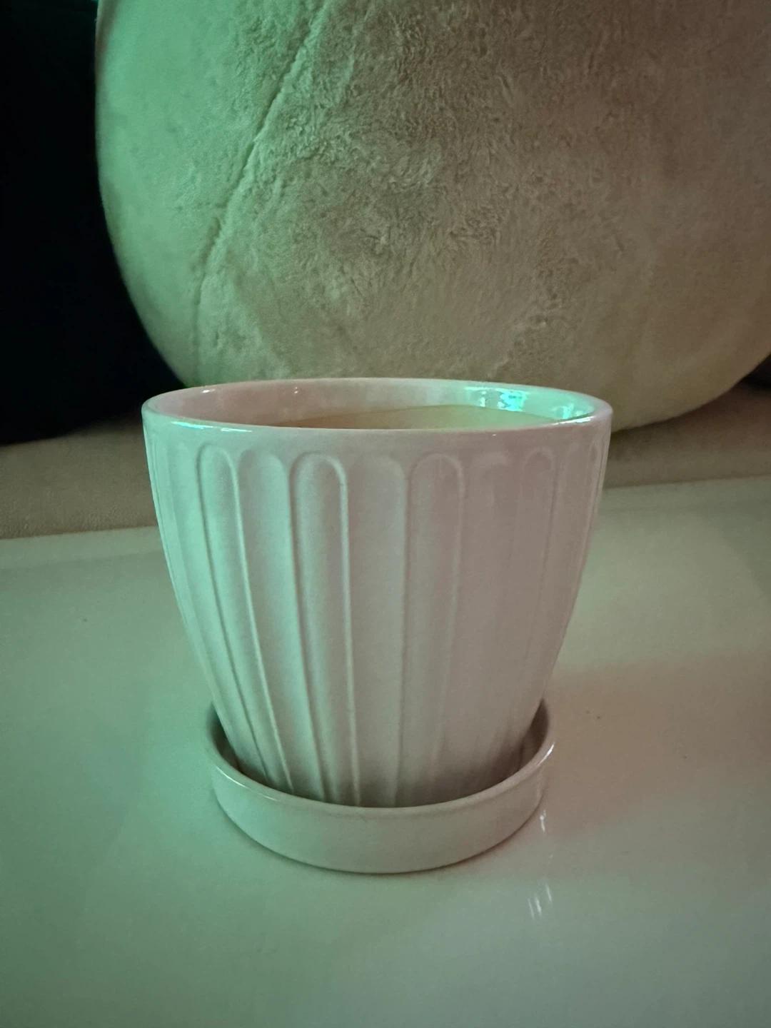 White Plant Pot with Saucer Attached