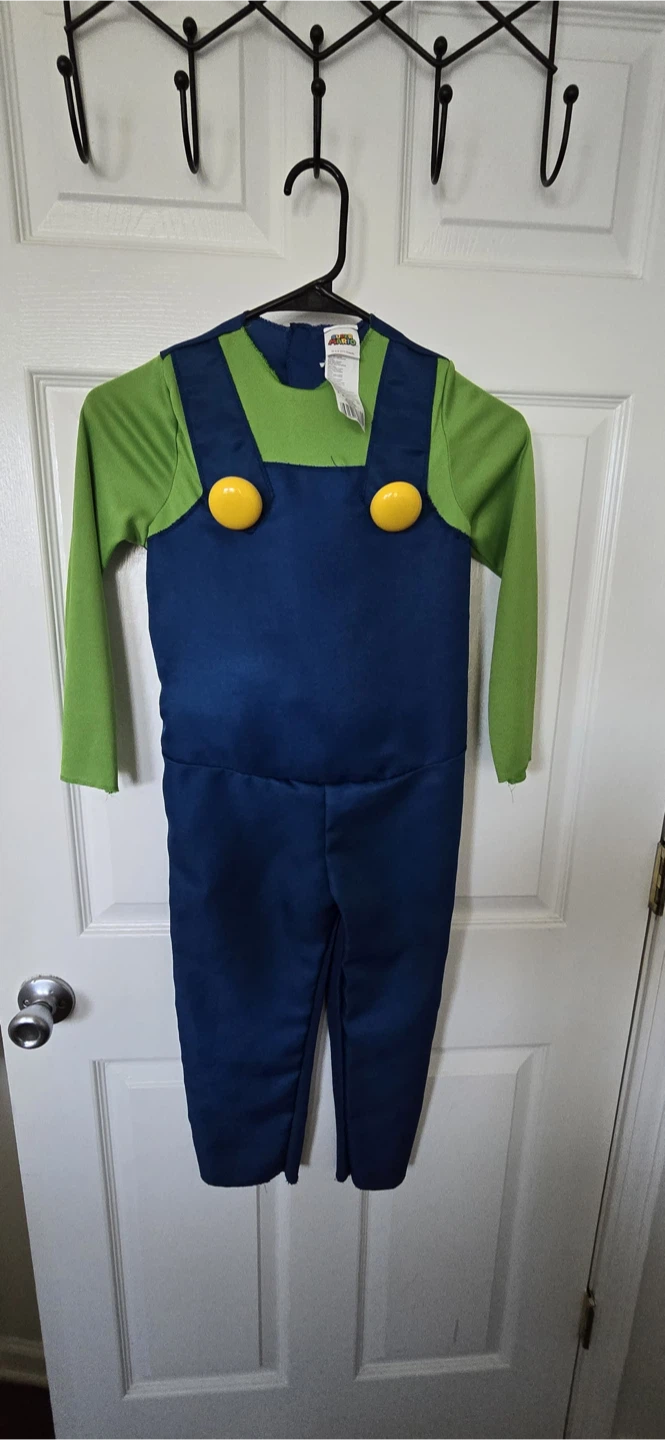 Super Mario Luigi Costume