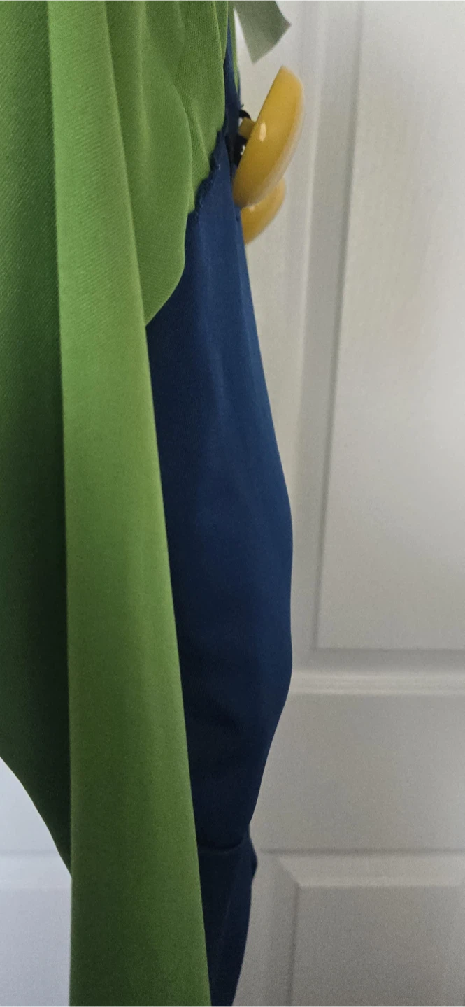 Super Mario Luigi Costume - photo 2