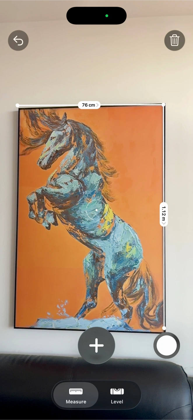 🐎 Large Boutique Horse Wall Art – $350 CAD - photo 2