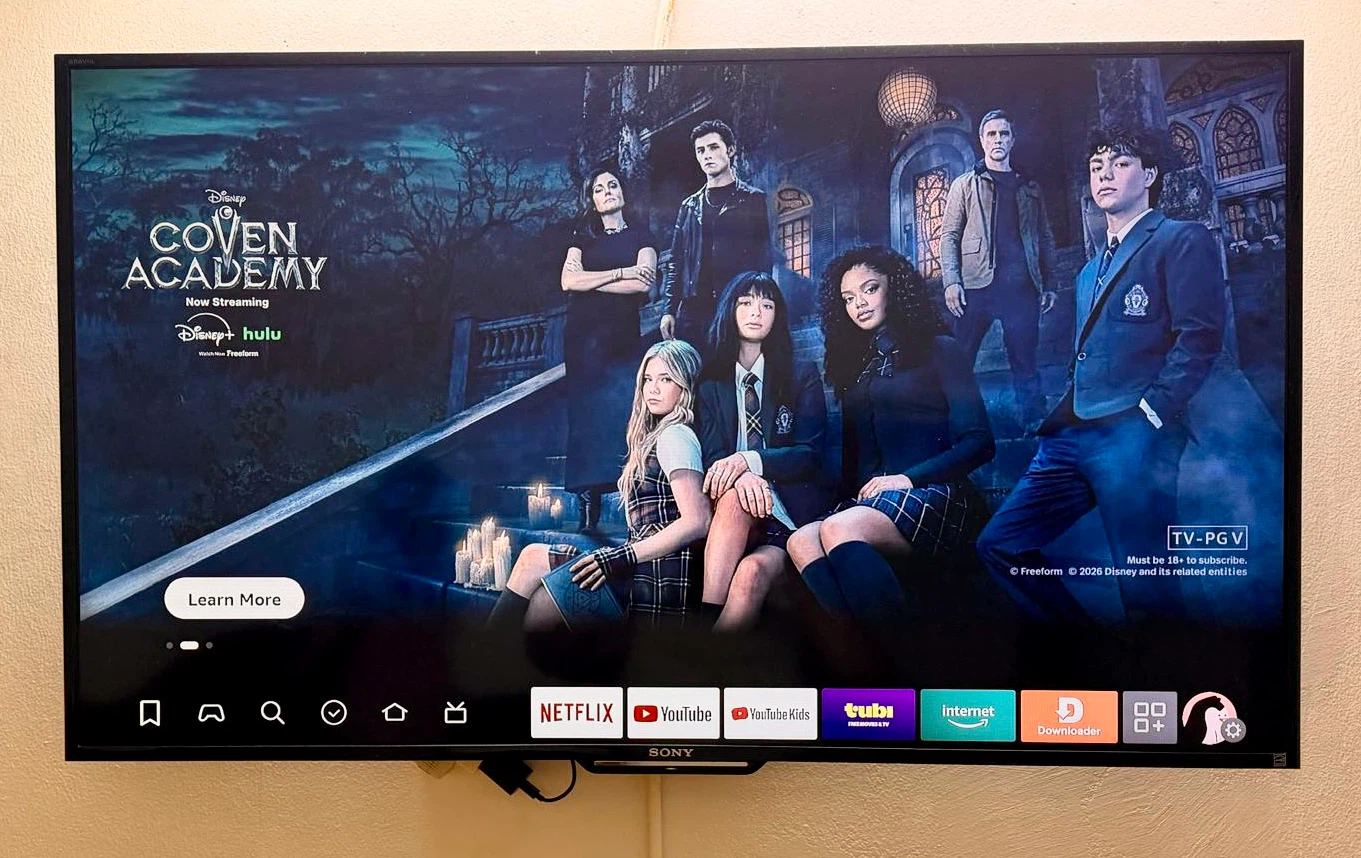 Sony 48-inch LED TV - photo 2