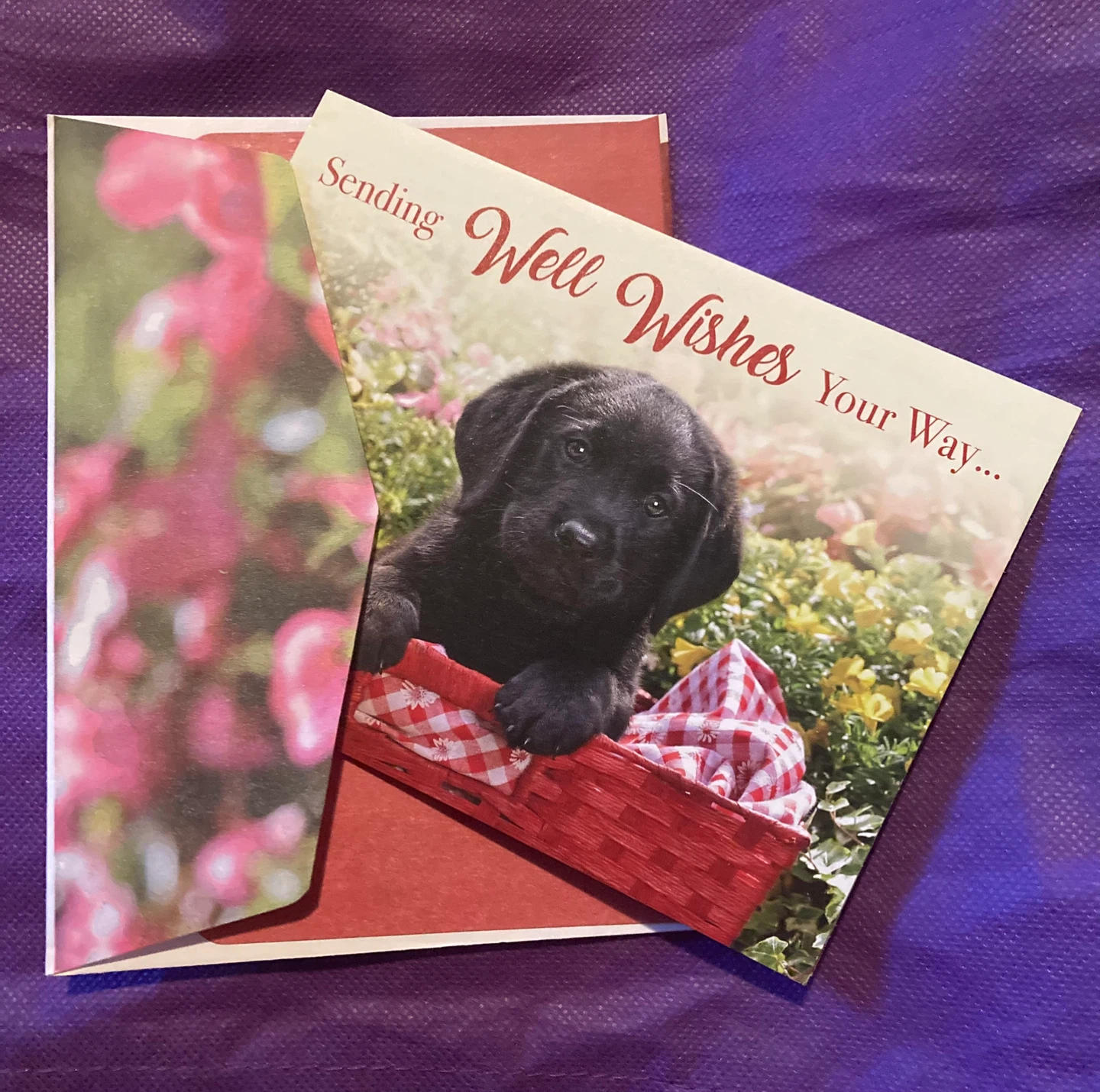 Well Wishes Puppy Greeting Card