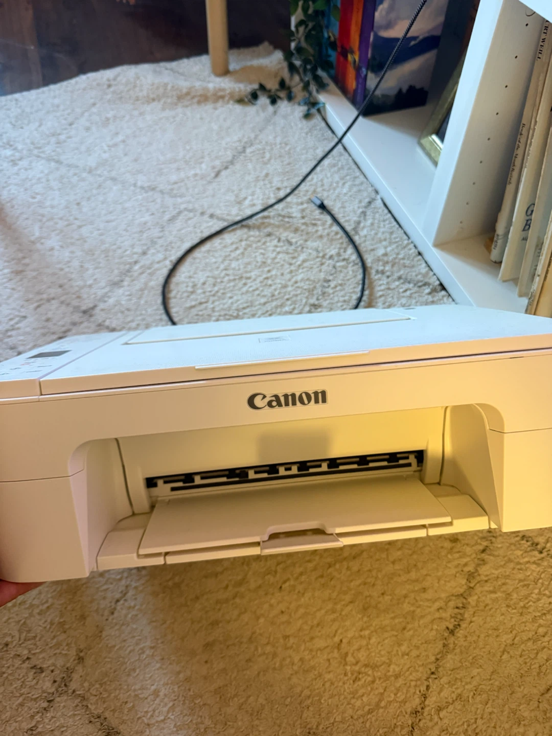 Canon TS3120 Wireless Printer - photo 3