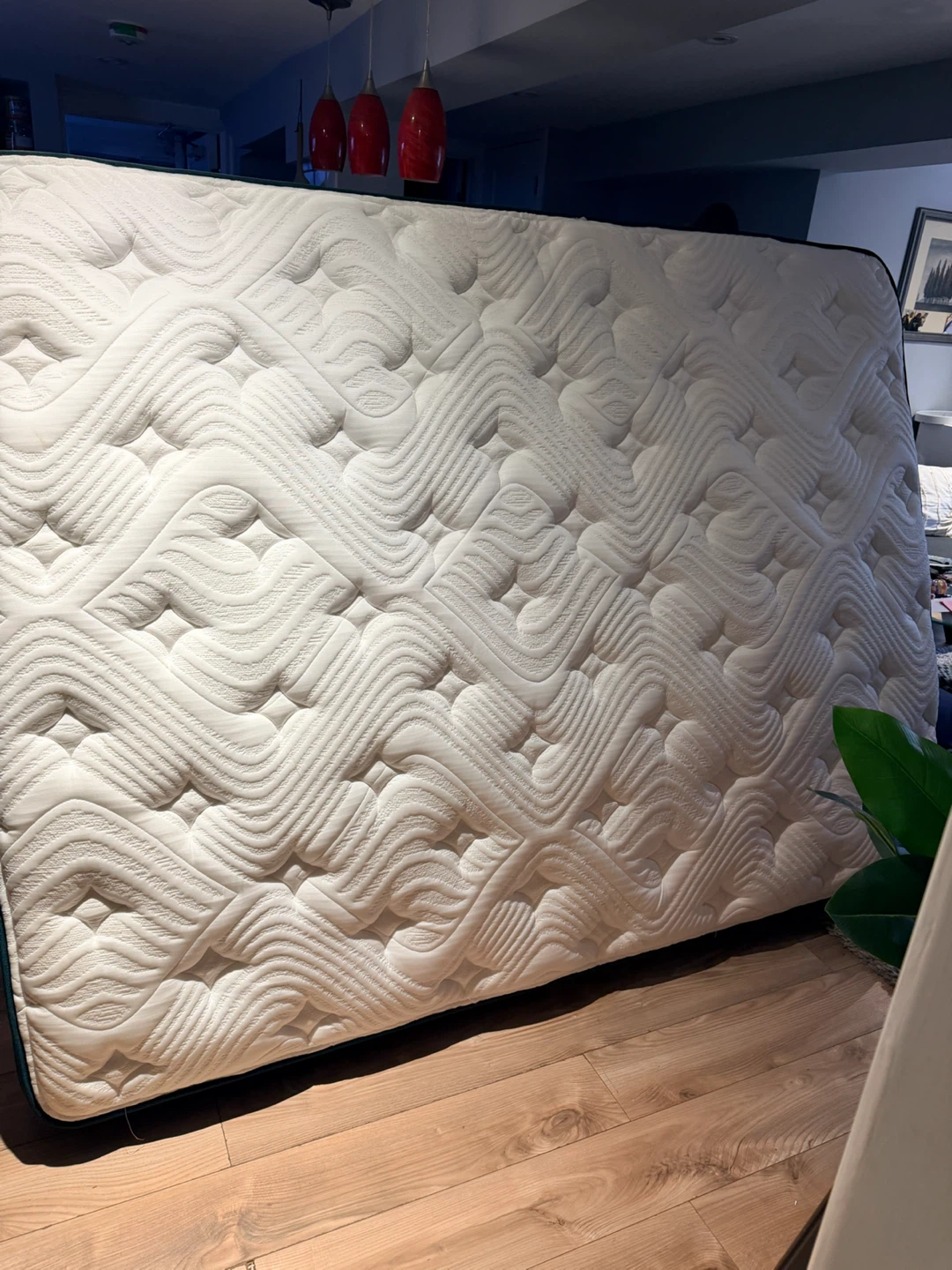 Logan & Cove Pinnacle Edition Mattress Queen Size