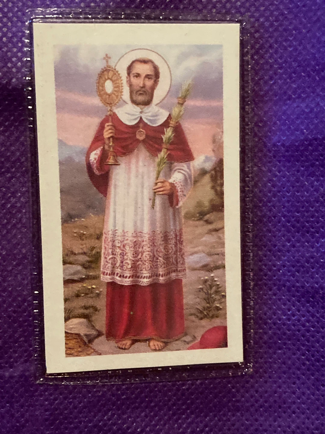 Saint Roman Nonato Laminated Prayer Card