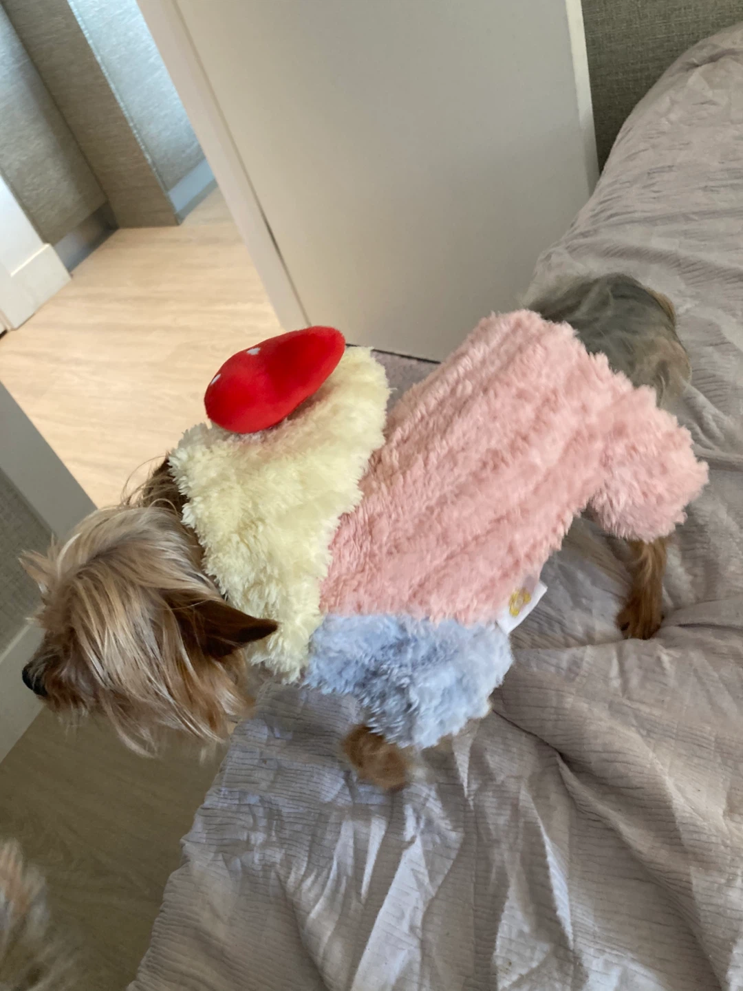 XS Fleece Pet Winter Jumpsuit with Bow