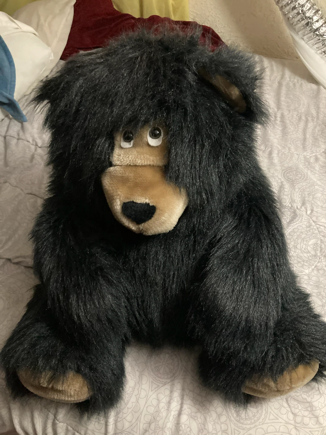 Large Black Plush Bear
