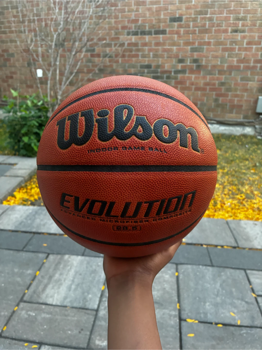 Wilson Evolution Basketball