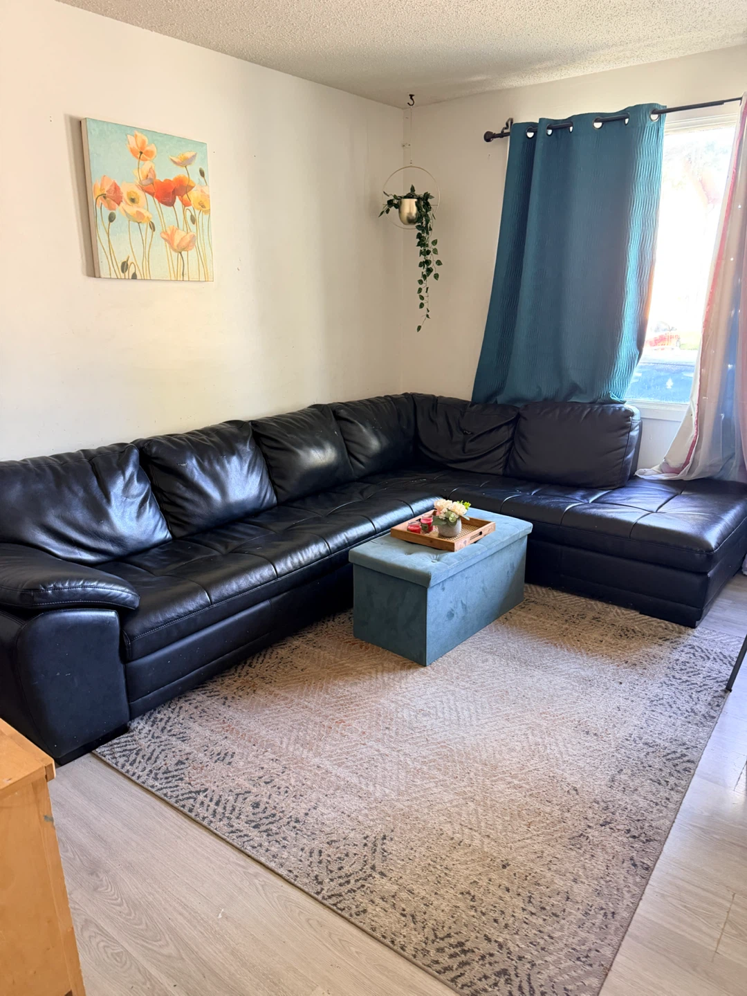 Black sectional sofa