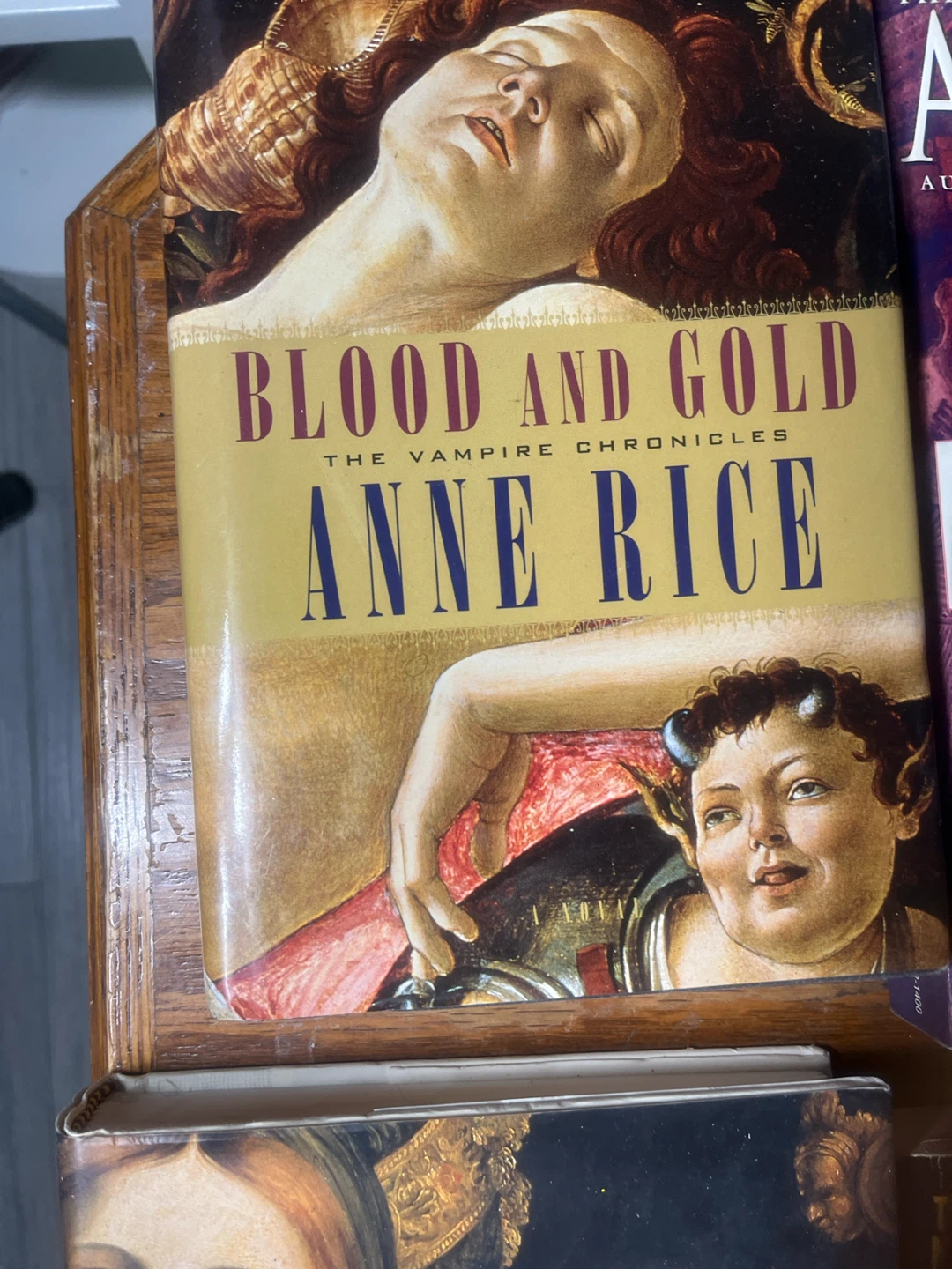 Collection of Anne Rice novels - photo 4