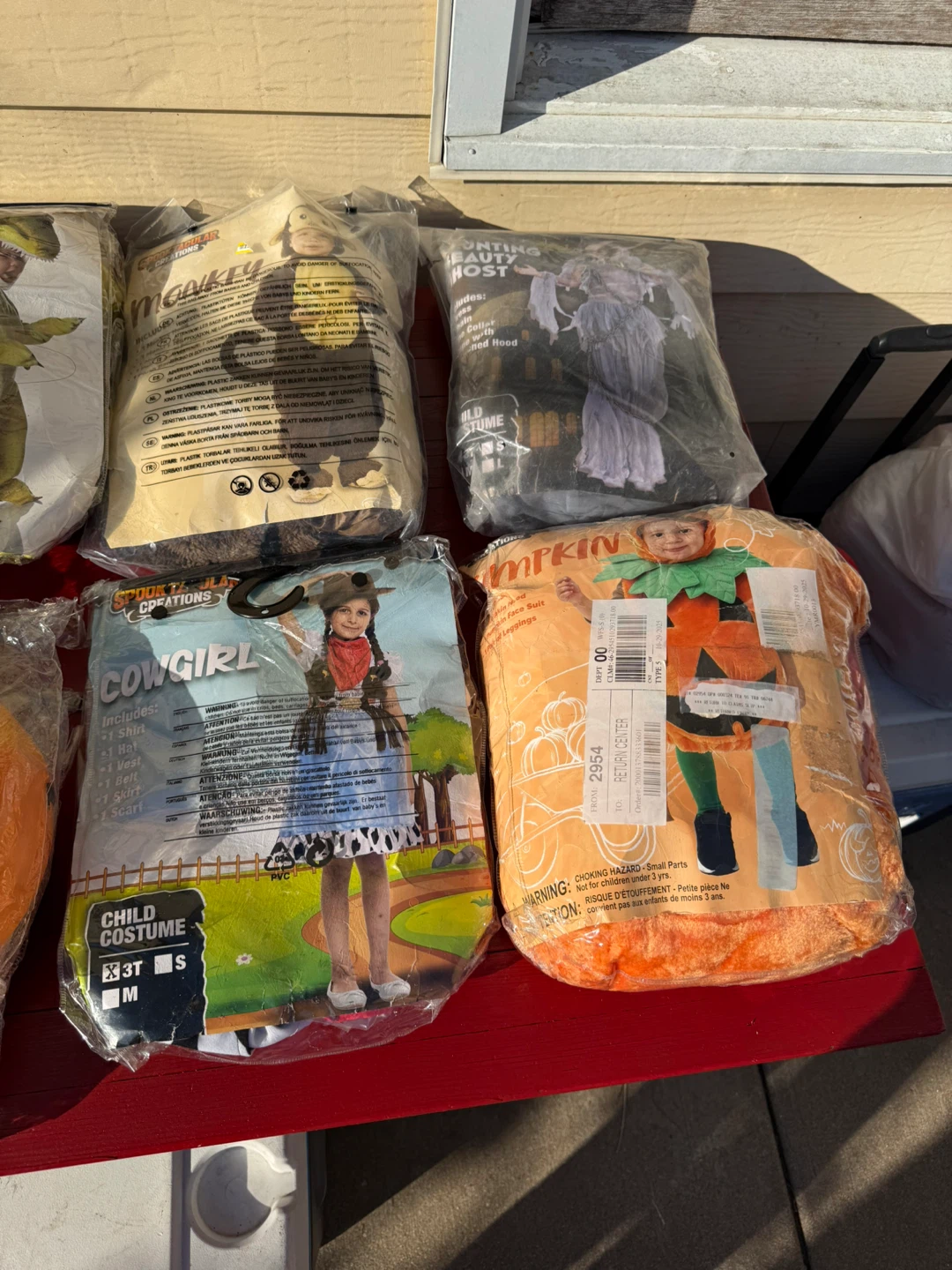 Assorted Halloween Costumes - photo 2