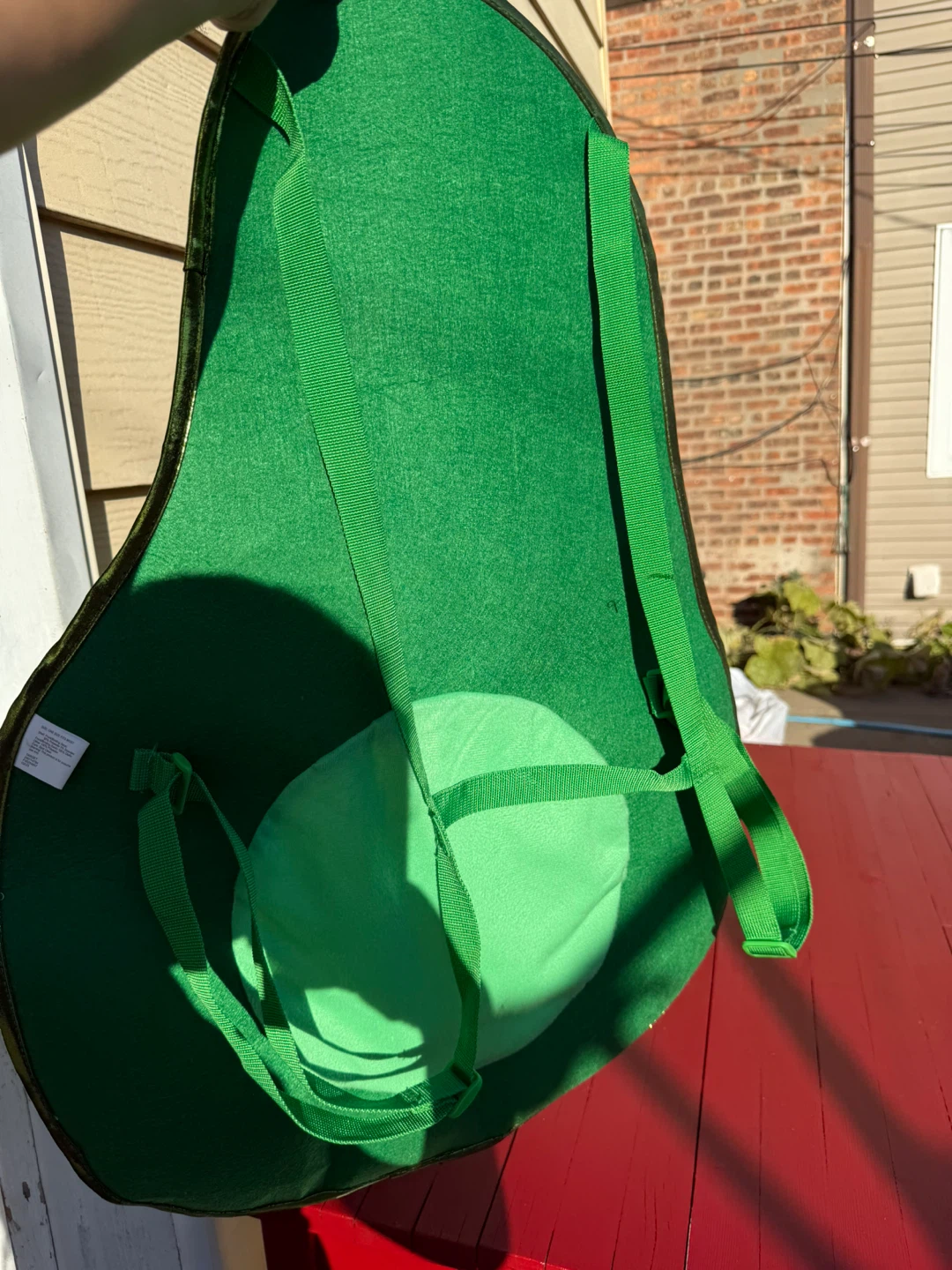Assorted Halloween Costumes - photo 2