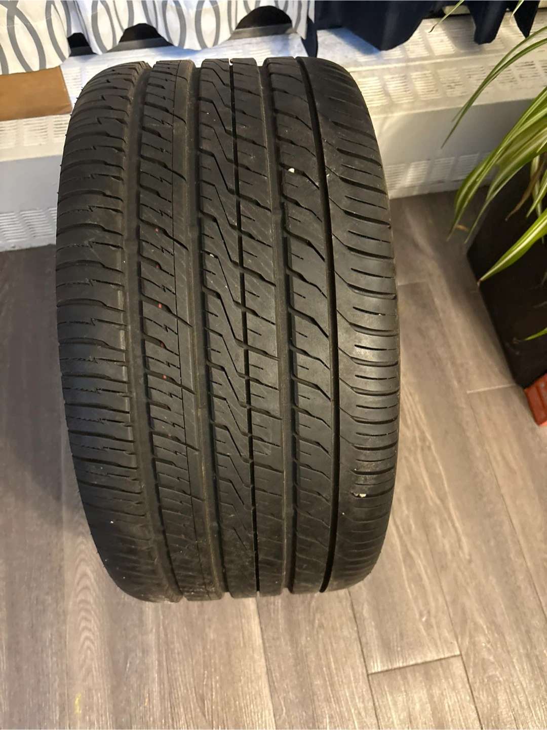 Toyo Proxes Tire on Alloy Wheel - photo 3