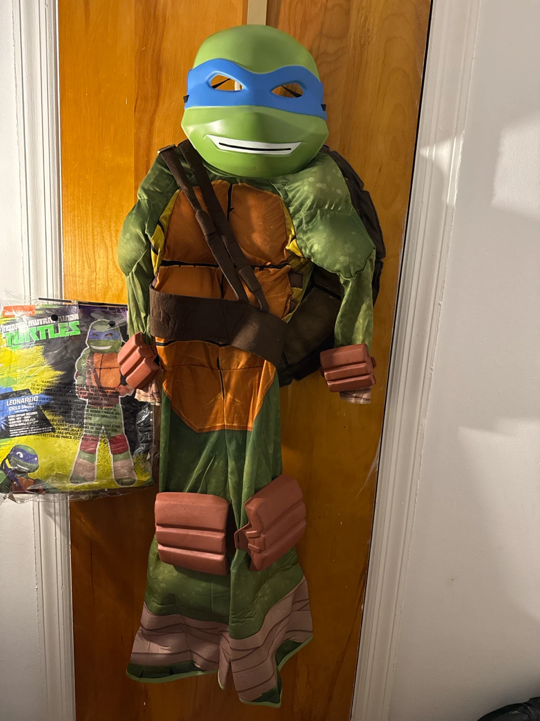 Teenage Mutant Ninja Turtles Leonardo Child Costume