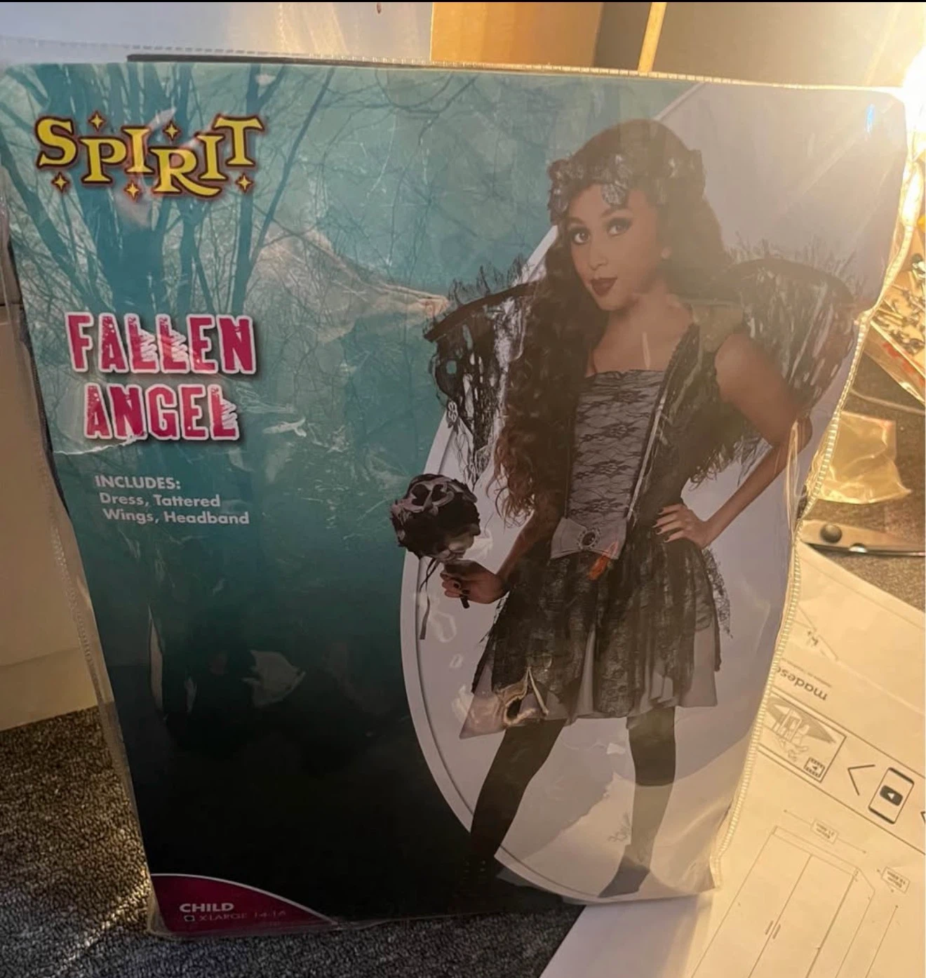 Spirit Fallen Angel Costume Child X-Large