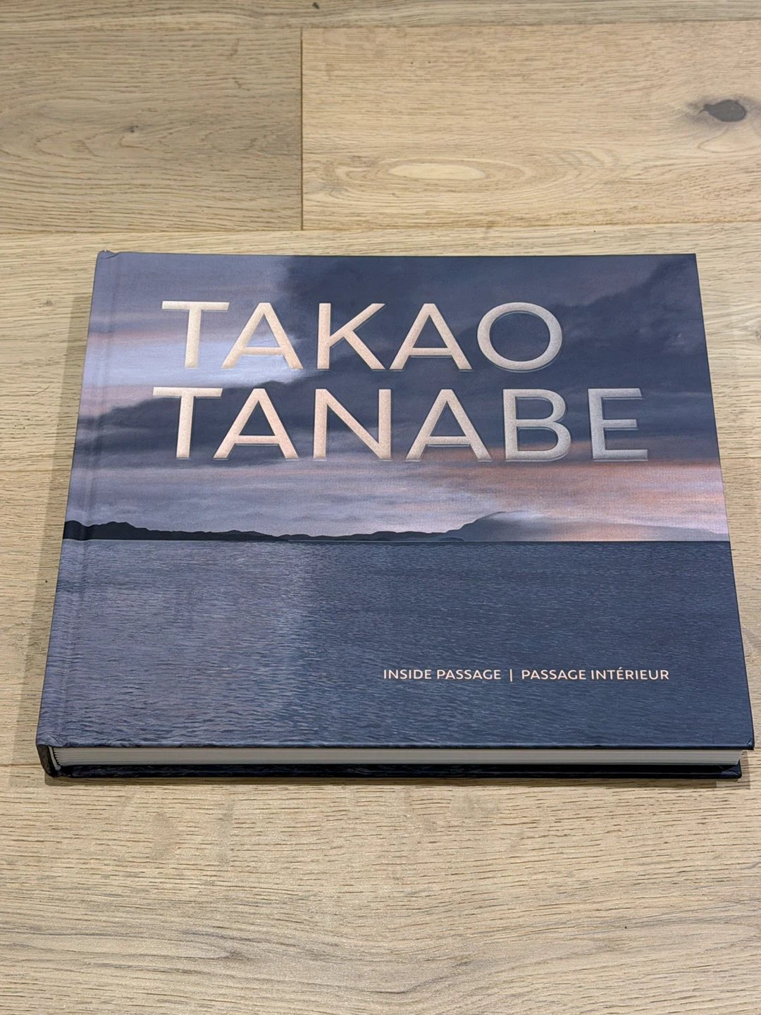 Takao Tanabe: Inside Passage Art Book