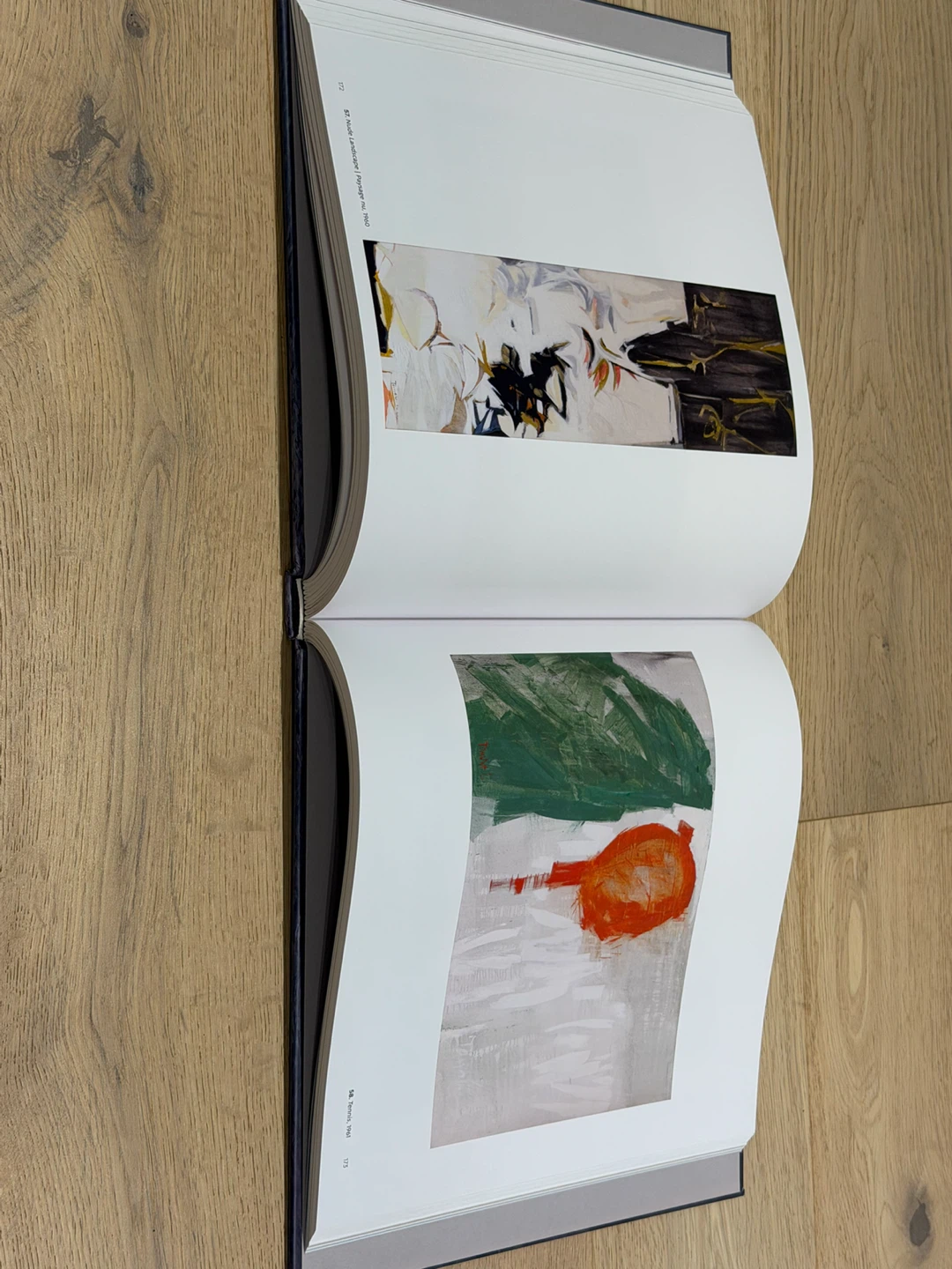 Takao Tanabe: Inside Passage Art Book - photo 4