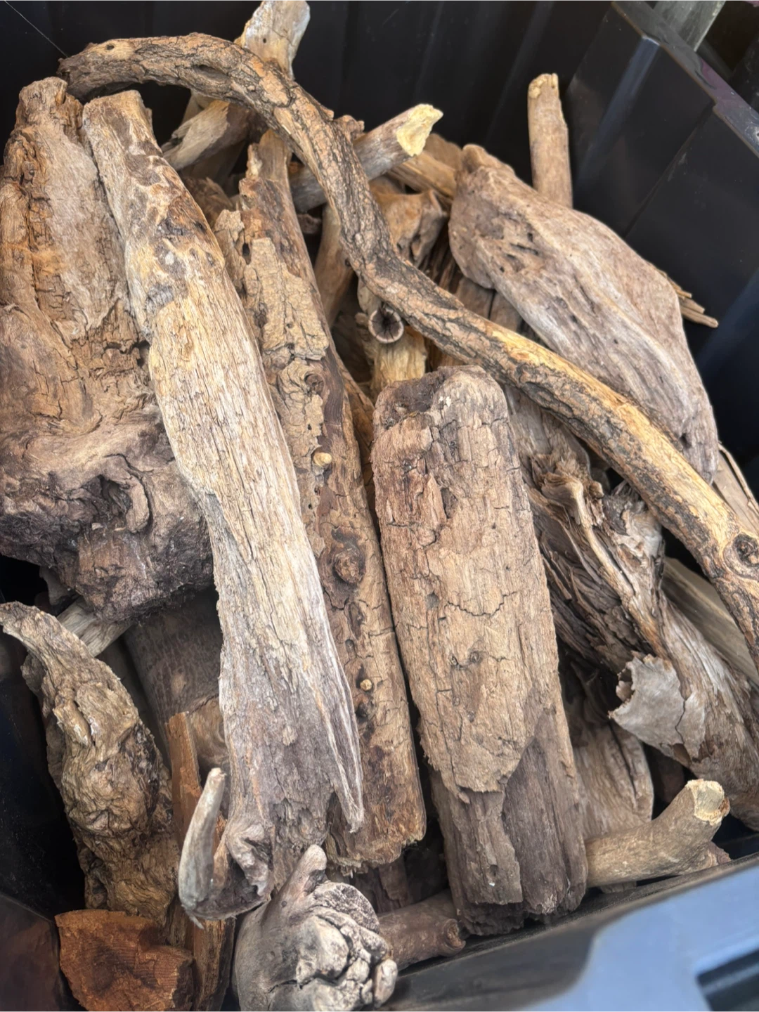 Assorted Natural Driftwood Pieces